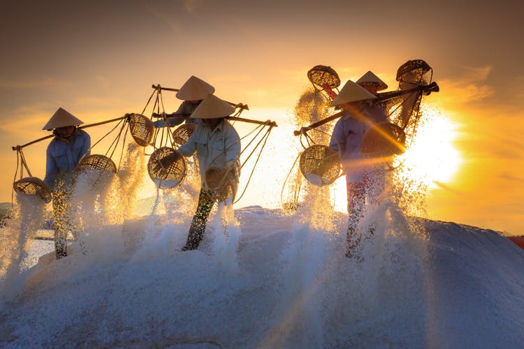 Farmers Working In The Morning