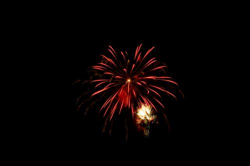 Free Stunning red fireworks exploding beautifully against a dark night sky. Stock Photo