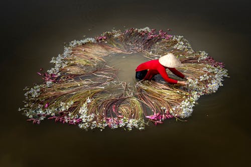 A Person Harvesting Water Lilies
