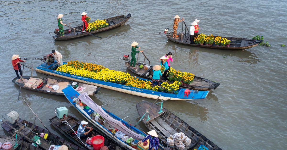 Marché aux fleurs : Guide des plus beaux