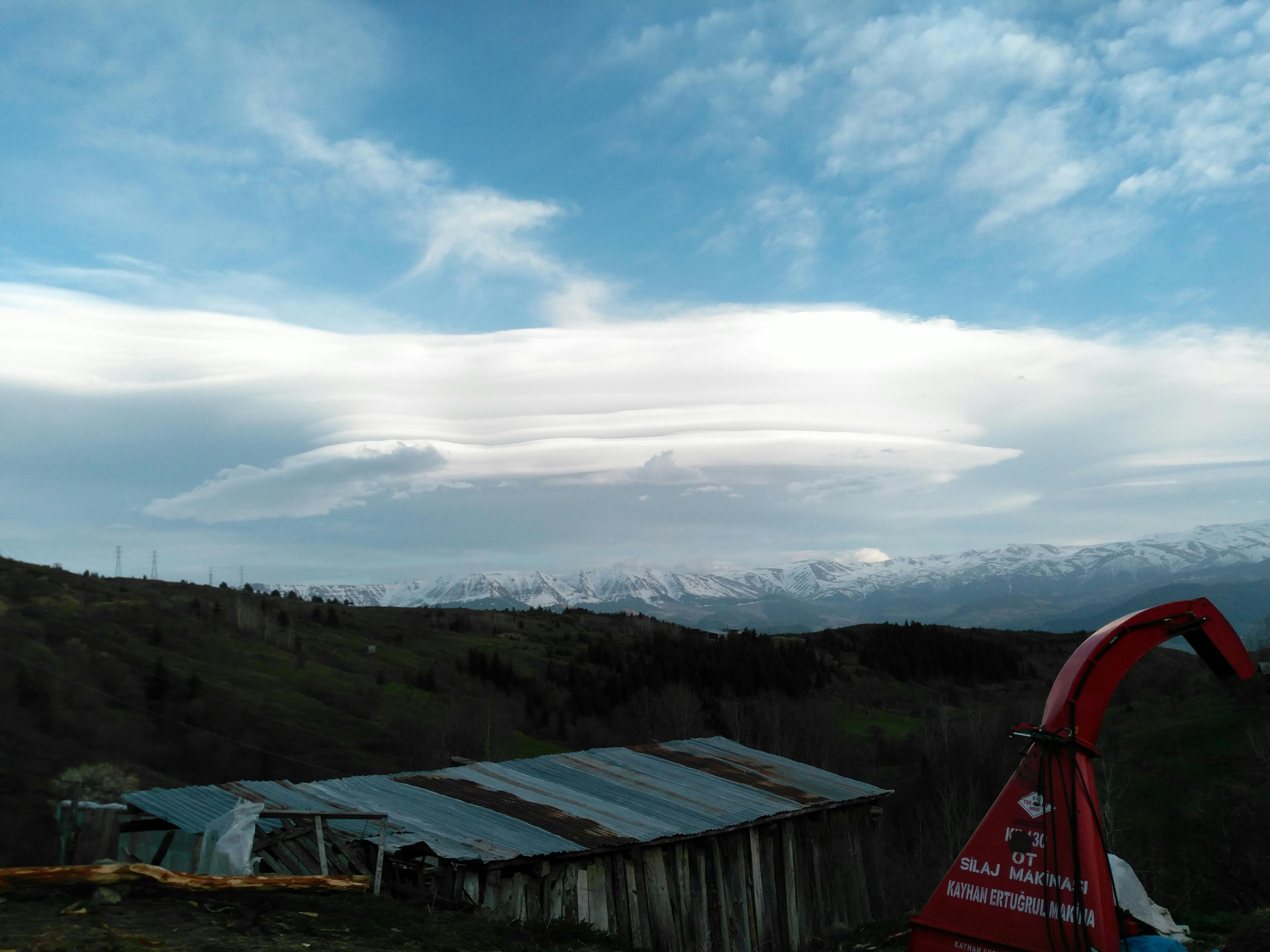 Free stock photo from Tolga · Pexels