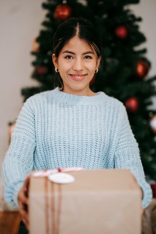 Content ethnic woman with present box on Christmas day