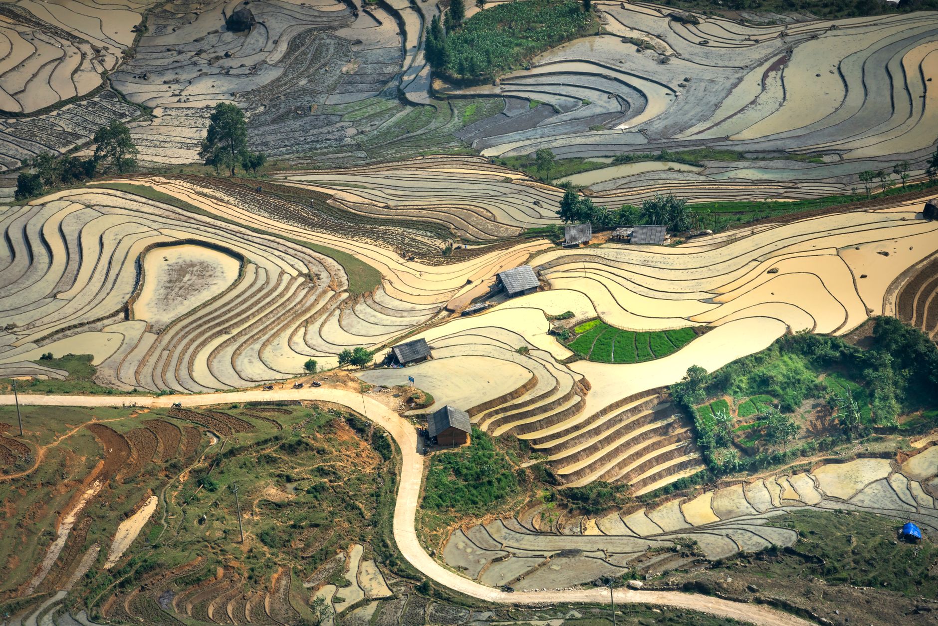 Stunning aerial photo of terraced rice fields in Vietnam during the day.