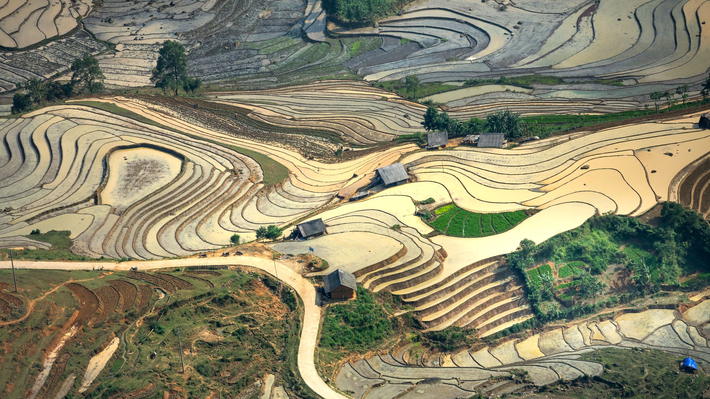 Stunning aerial photo of terraced rice fields in Vietnam during the day.