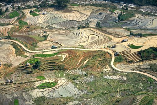 Free Stunning aerial shot of terraced rice fields showcasing agricultural diversity. Stock Photo