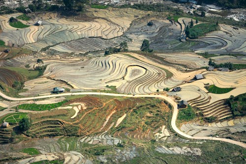 农业领域, 無人空拍機, 稻田 的 免费素材图片