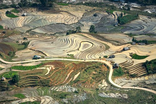 Free Breathtaking aerial view of terraced rice fields arranged in a natural mosaic pattern. Stock Photo