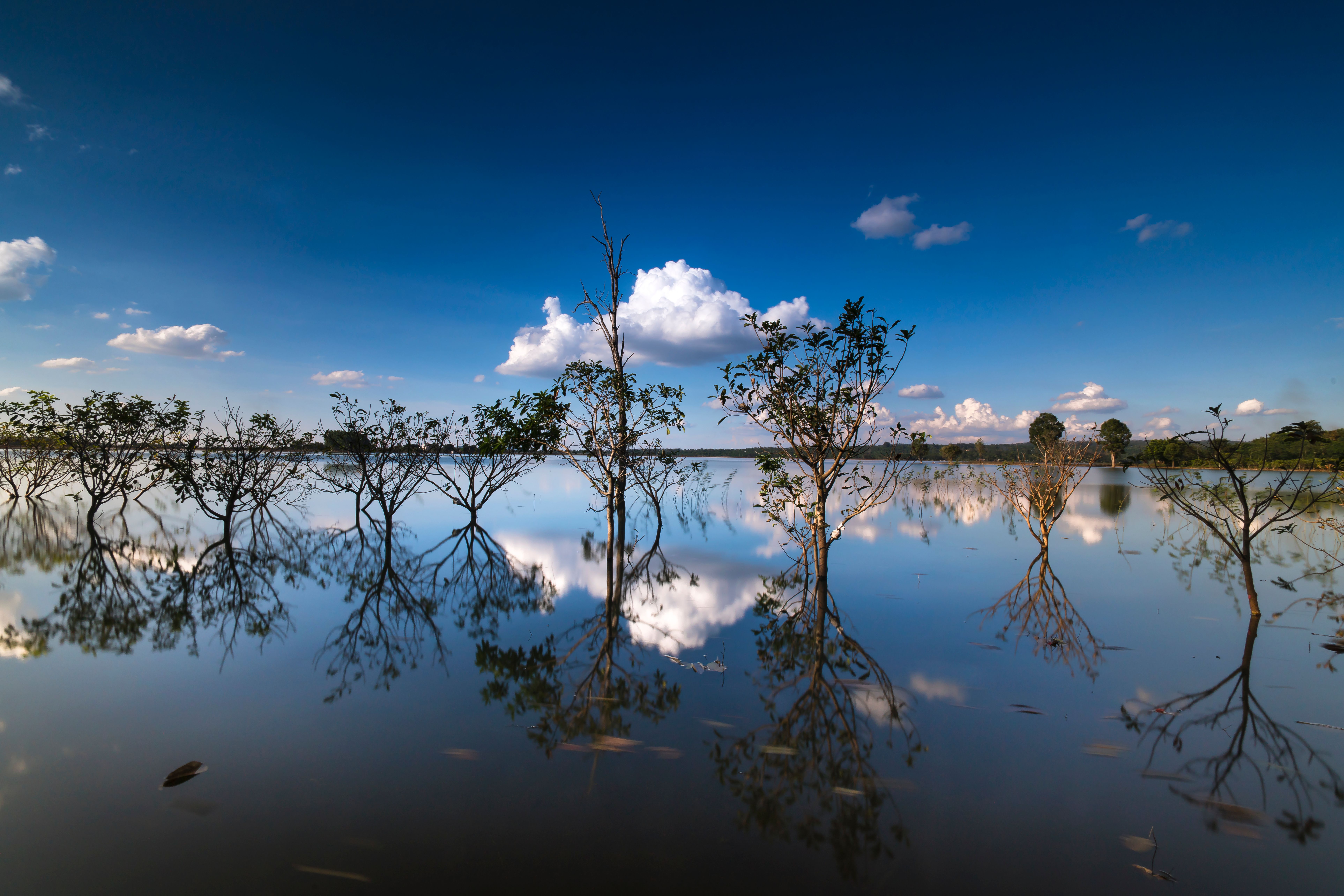 8 Day (Flexible) Revitalize & Restore Yoga Program in Cambodia 3