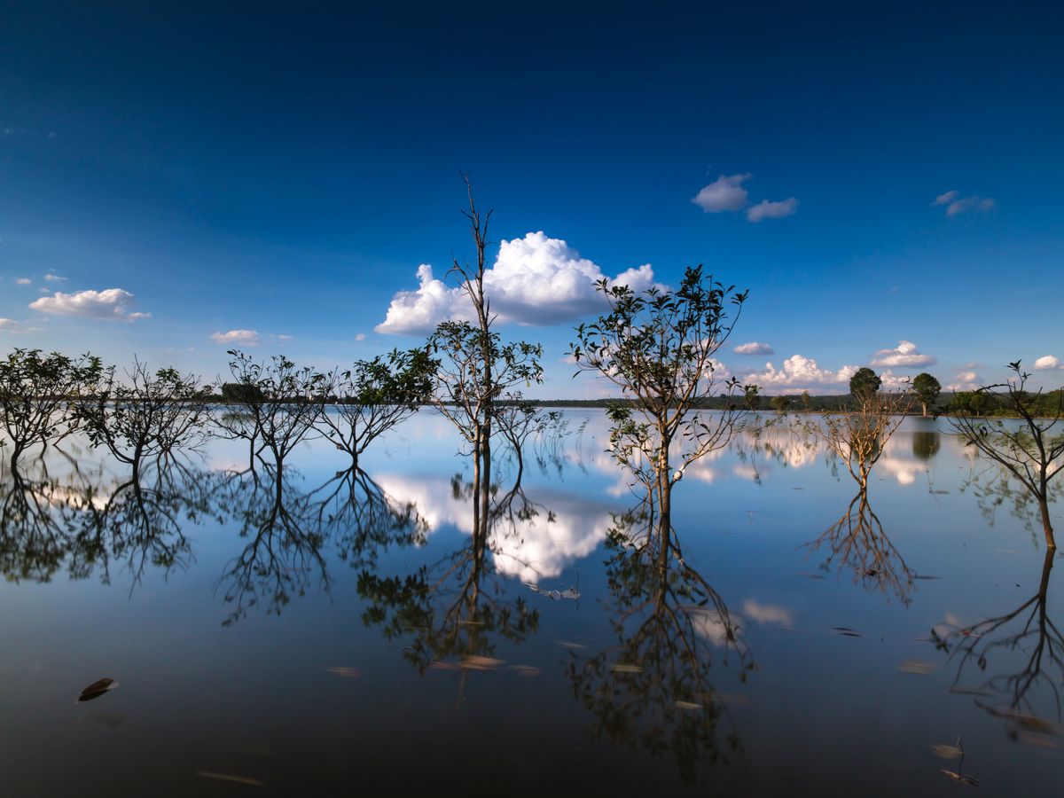8 Day (Flexible) Revitalize & Restore Yoga Program in Cambodia 3