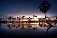 Free stock photo of agriculture, an giang, area