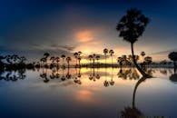 Free stock photo of agriculture, an giang, area