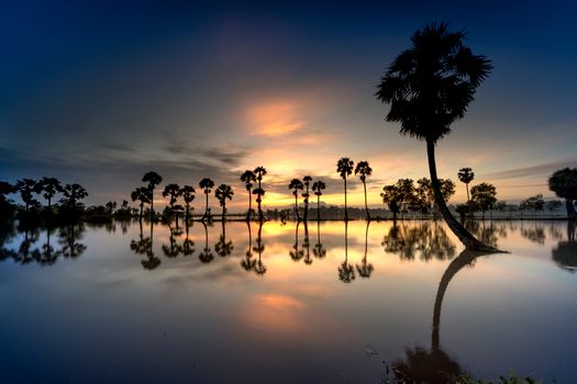 Travel inspiration