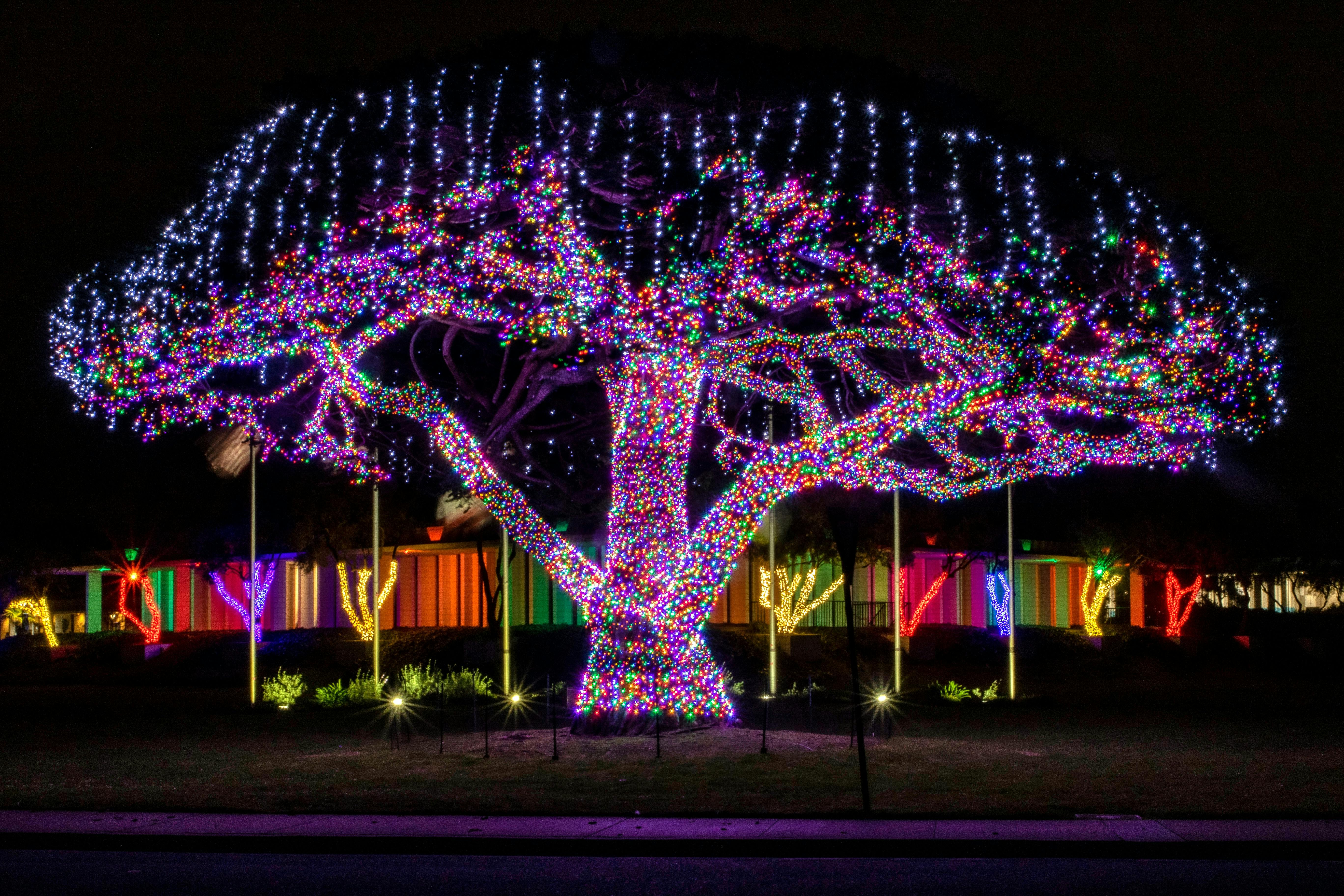 Free Stock Photo Of Christmas, Christmas Lights, Festive