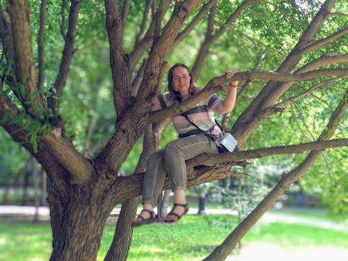 Free stock photo of girl on a tree, park tree, summer
