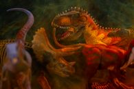 Brown and Black Dragon in Water