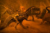 Black and Brown Dinosaur Skeleton