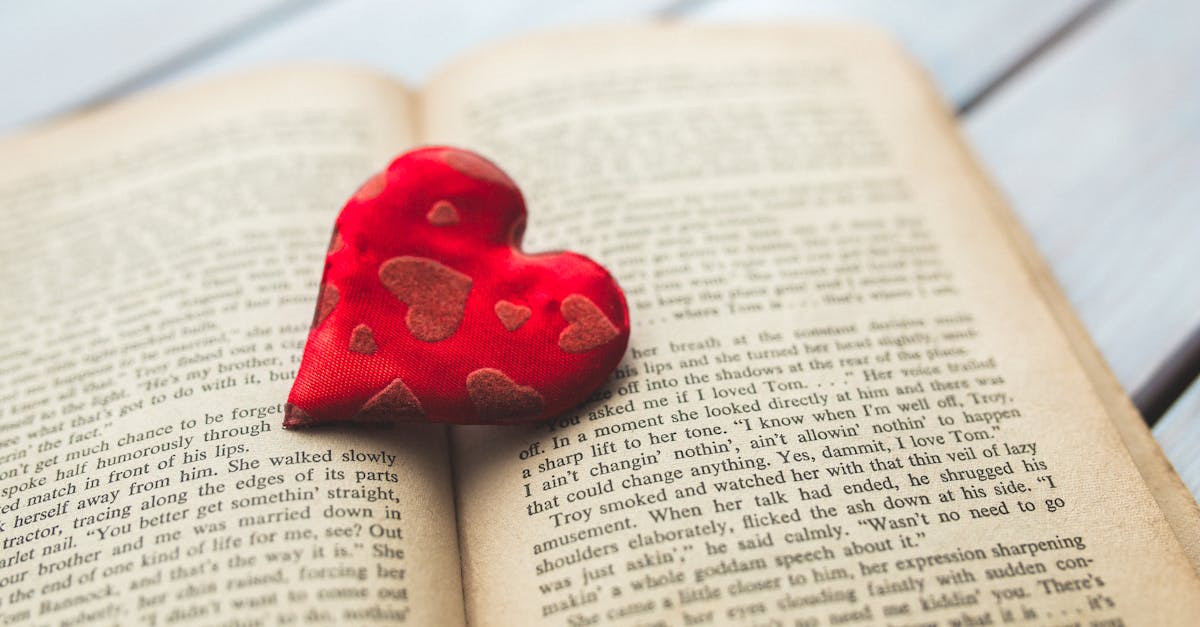 Red heart on a old opened book