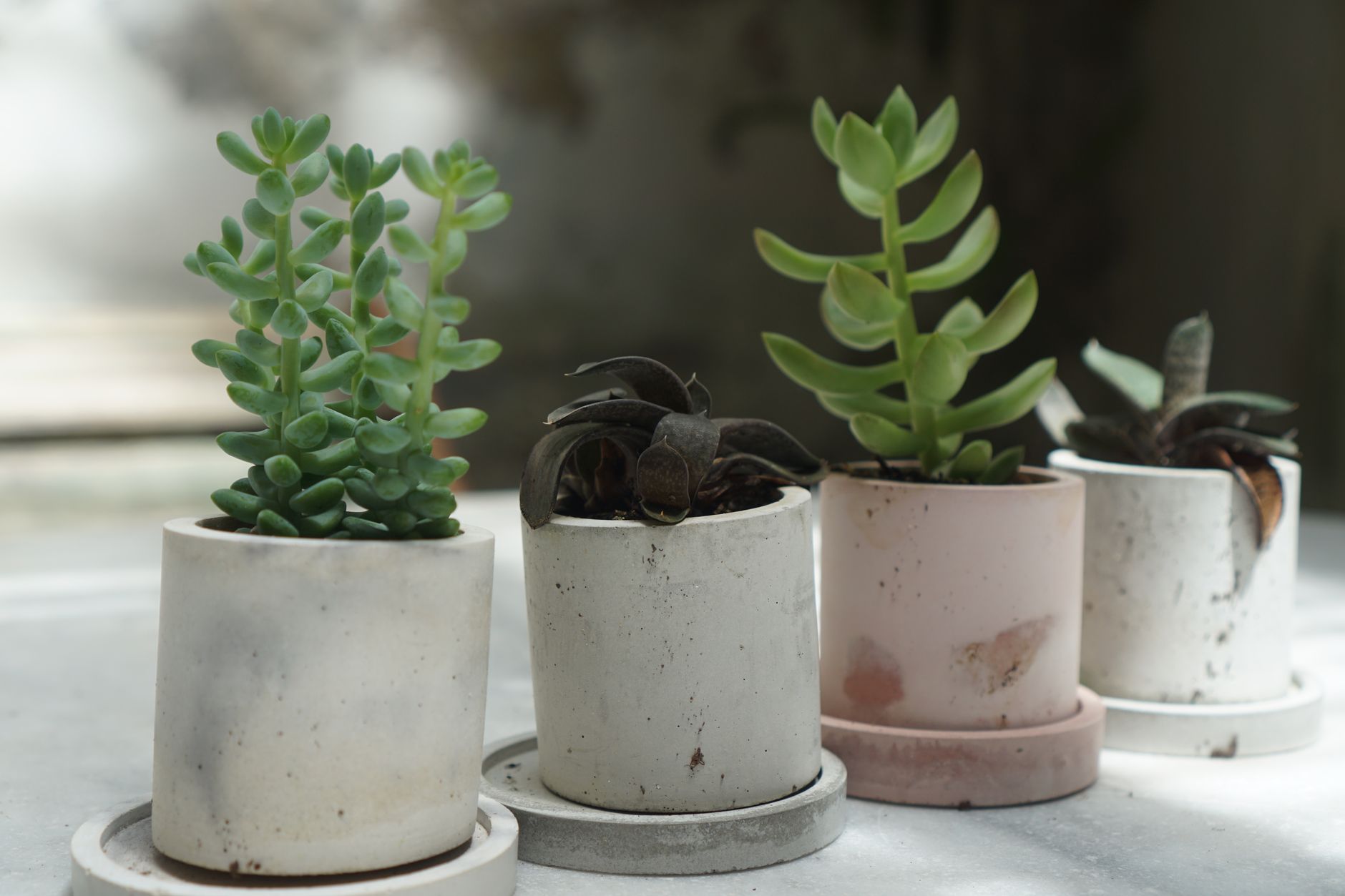 Why Sustainable Concrete Formulations Will Shift Resale Value For Urban Condo Renovation Markets This Year