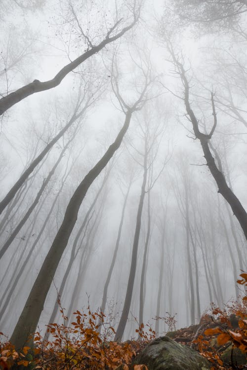 Gratis stockfoto met afzondering, atmosfeer, bewolkt