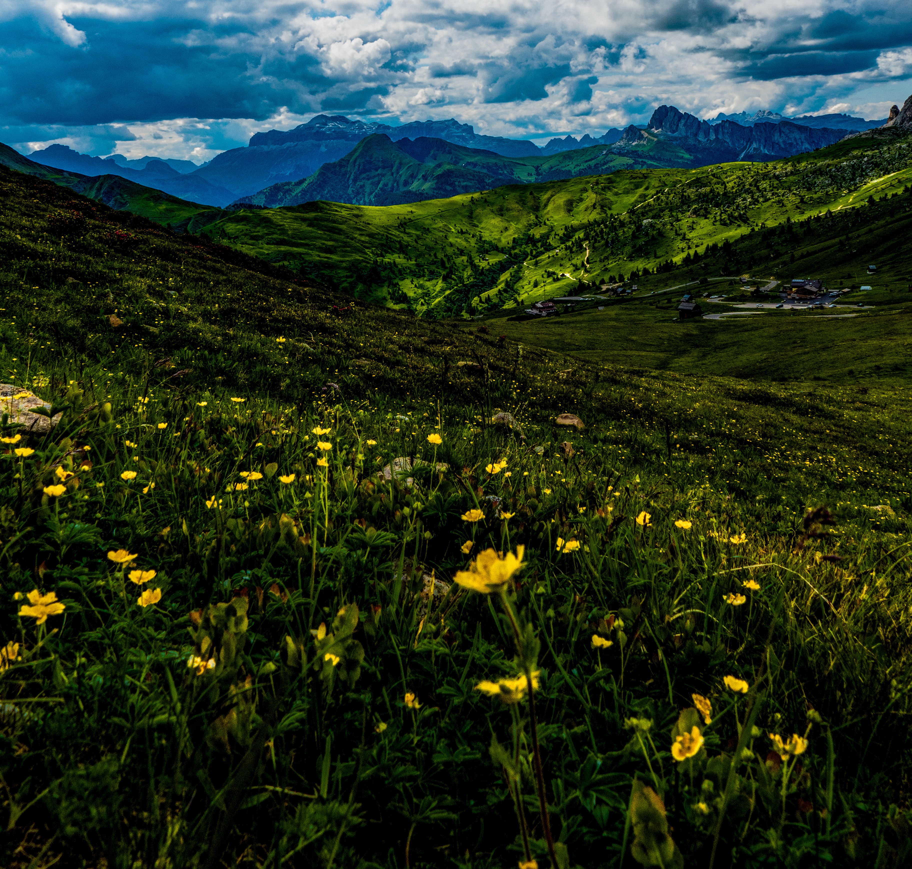 Green valley with blooming flowers among mountains in daylight · Free ...