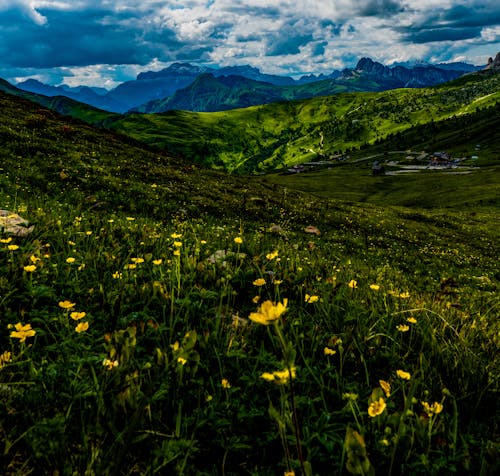 Free Picturesque landscape of valley with blooming yellow flowers located among green hills and mountains under cloudy blue sky in daytime Stock Photo