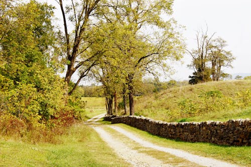 Free stock photo of trail