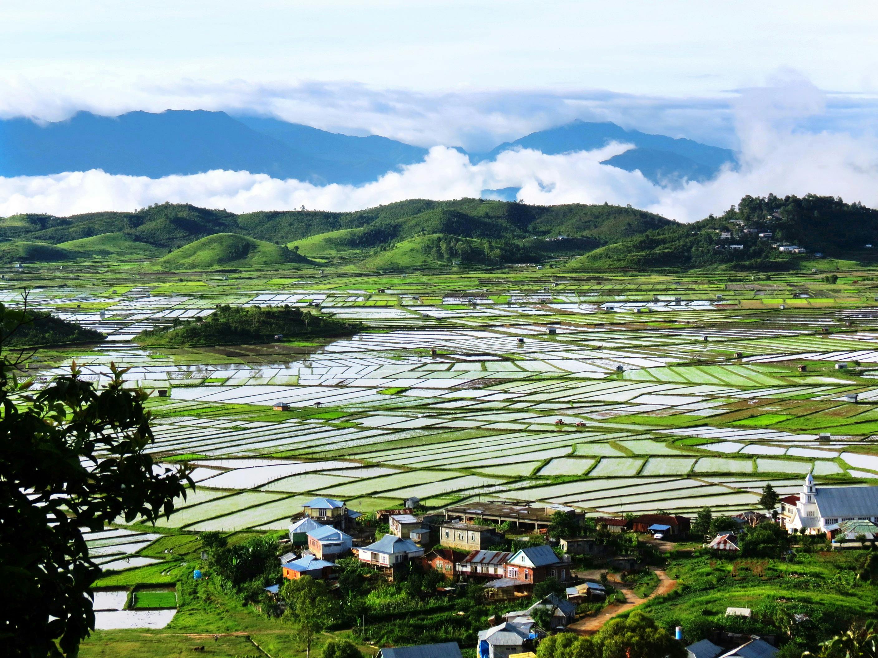 4k Wallpaperri Rice Fields Photos, Download The BEST Free 4k ...