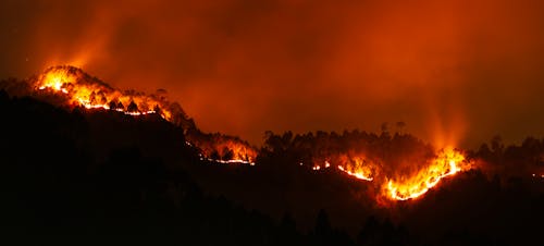 Europe Endures Historic Wildfire Devastation
