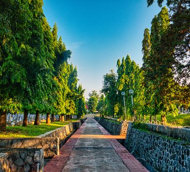 Bogor botanical gardens day — Jakarta