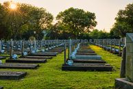 Various military gravestones in cemetery