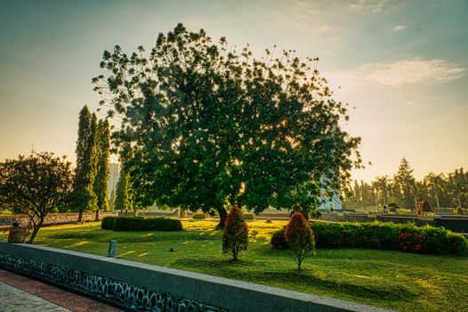 Bogor botanical gardens day — Jakarta