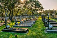 Rows of gravestones with military hardhats located on green tall trees with lush foliage in main heroes cemetery in Indonesia