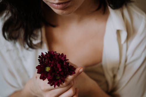 Mujer Sosteniendo Flor Rosa En Fotografía De Cerca