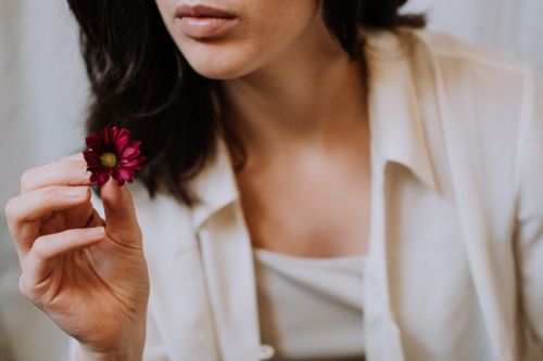 Free Crop attractive brunette wearing white outfit showing gentle dark red daisy flower in light room Stock Photo