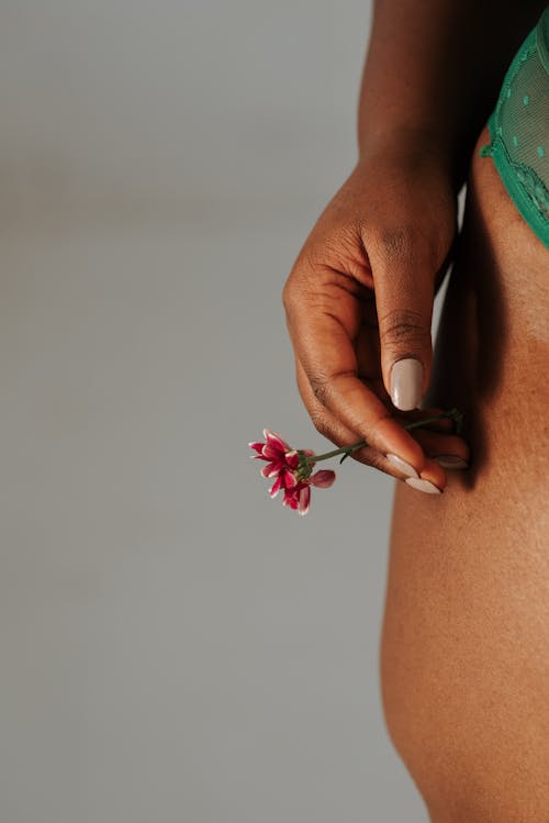 Crop anonymous African American plus sized female wearing lace green panties standing with gentle pink flower in hand