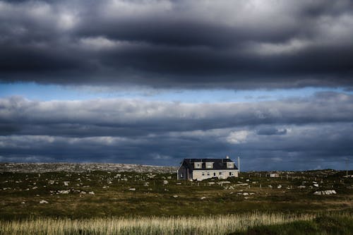 Gratis stockfoto met boerderij, buiten, gras