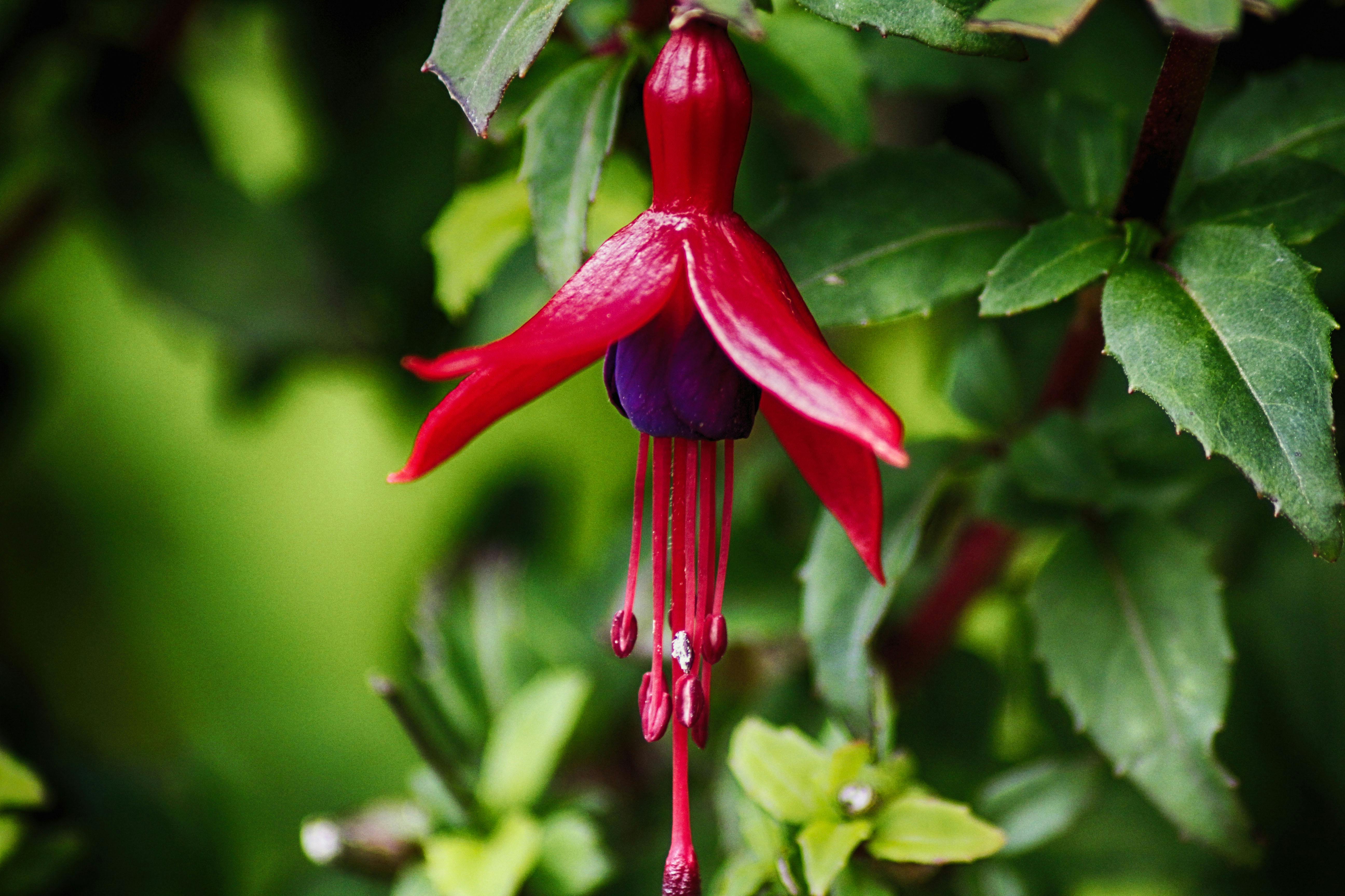 People holding candles at a nighttime vigil