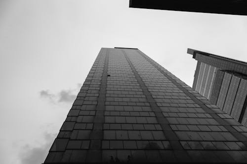 Ücretsiz Yüksek Katlı Binanın Gri Tonlamalı Fotoğrafı Stok Fotoğraflar