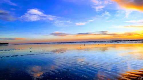 反射, 彩云, 海滩日落 的 免费素材图片