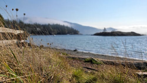 Δωρεάν στοκ φωτογραφιών με beachgrass, αγροτικός, βουνά