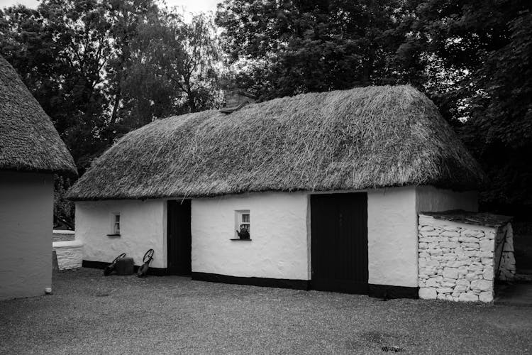 A White Bungalow With Thatch Roof Near Trees