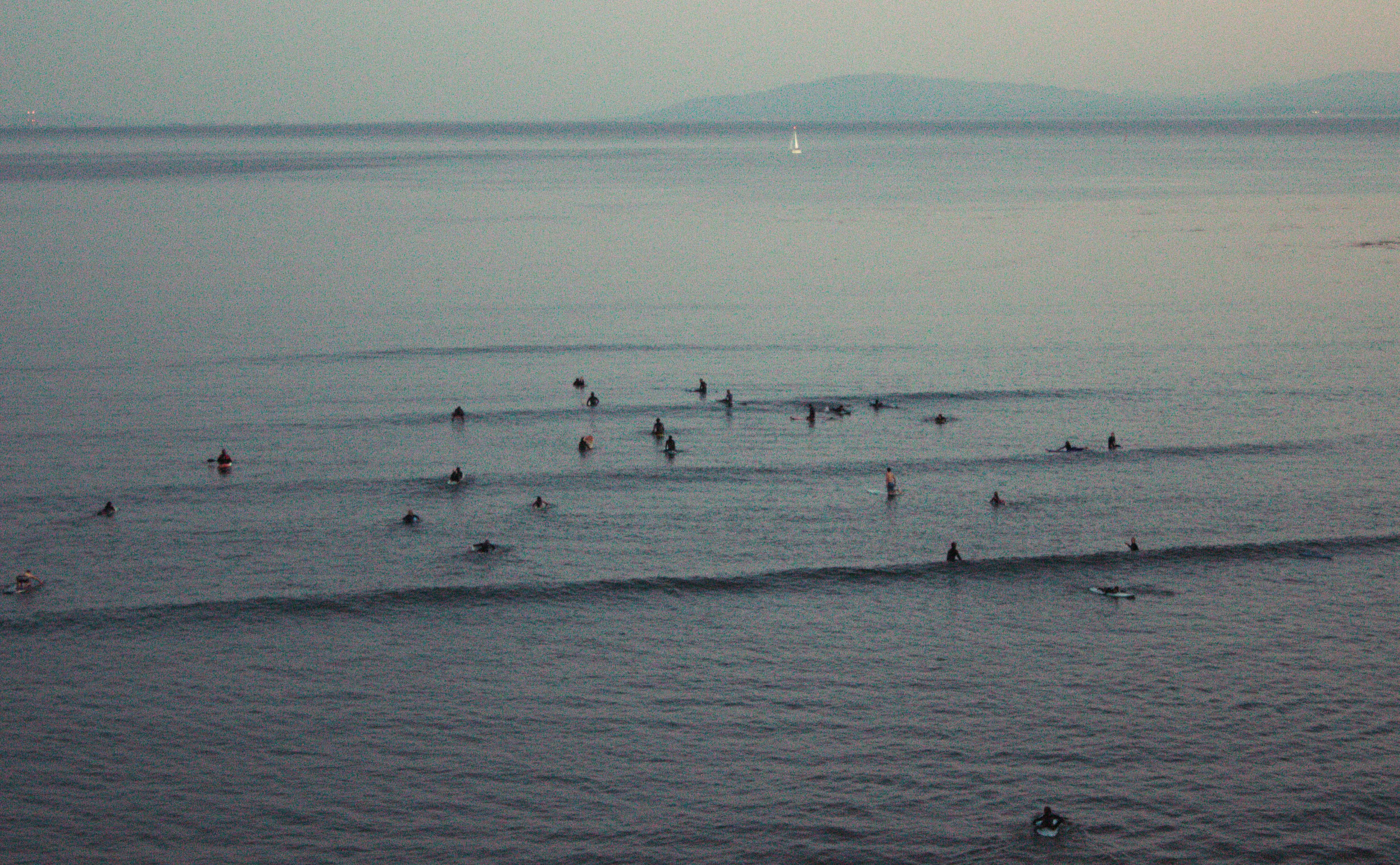 Surfers gather in the ocean at twilight, waiting for the perfect wave