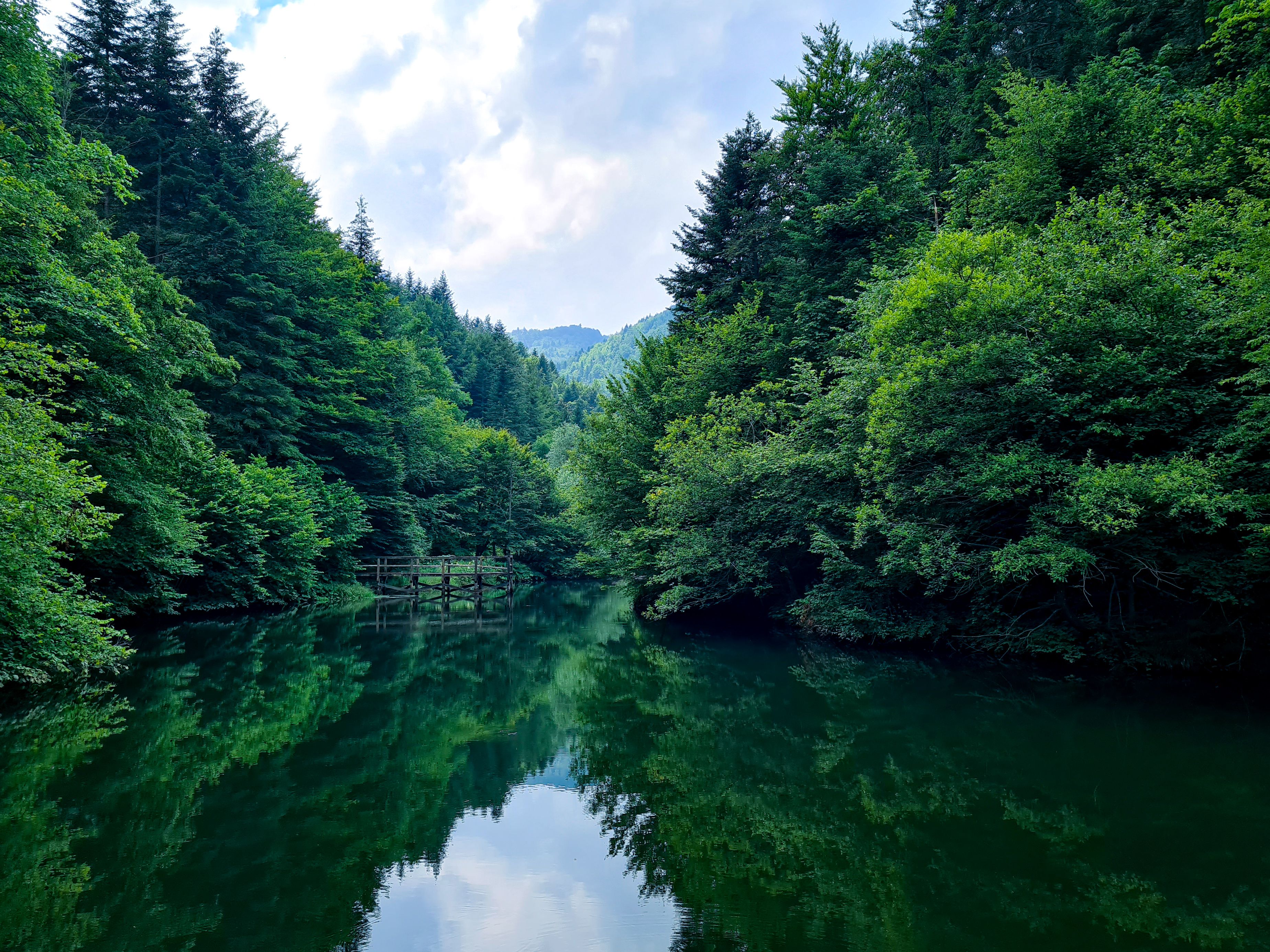 A Lake Surrounded by Green Trees Under Cloudy Sky · Free Stock Photo