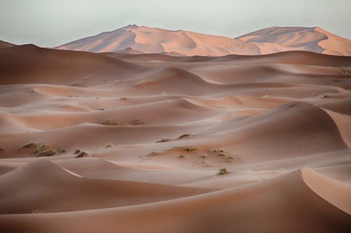 Photo of a Desert with Brown Sand