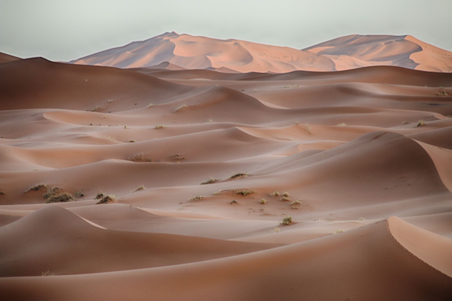 Agadir to Erg Chigaga: 5-Day Journey Through the Anti-Atlas and Sahara