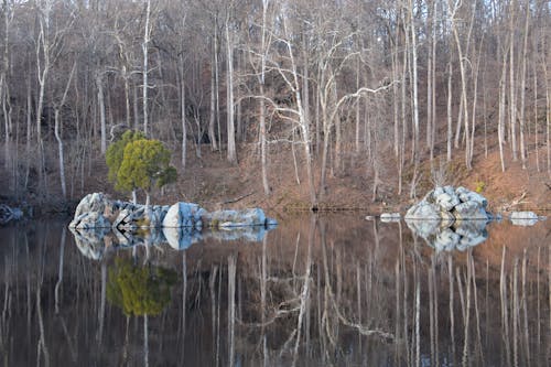 Free stock photo of great falls maryland