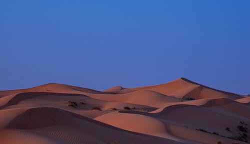 Free A Desert Under a Blue Sky Stock Photo
