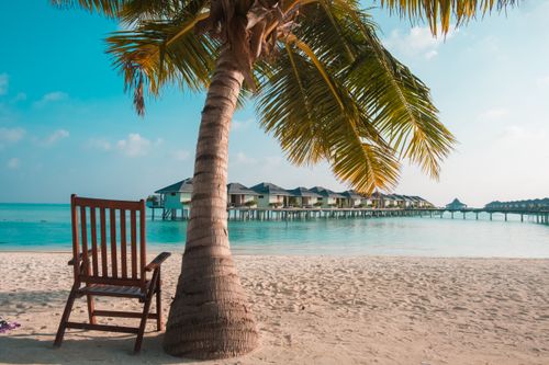 Free Peaceful beach setting with palm tree and overwater bungalows, perfect for a tropical escape. Stock Photo
