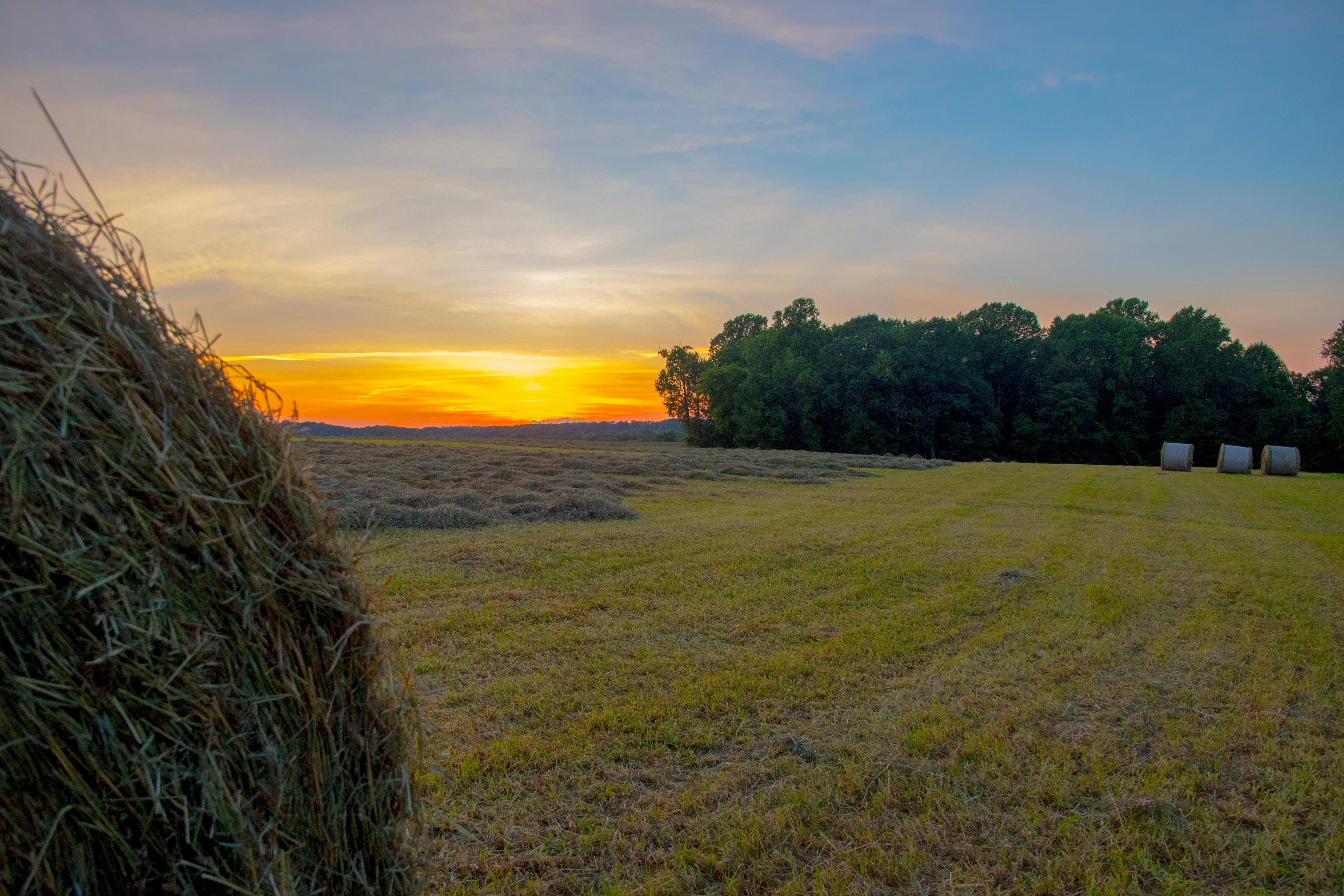 Free stock photo of Maryland Farm, sunset