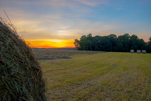 Foto d'estoc gratuïta de capvespre, maryland farm